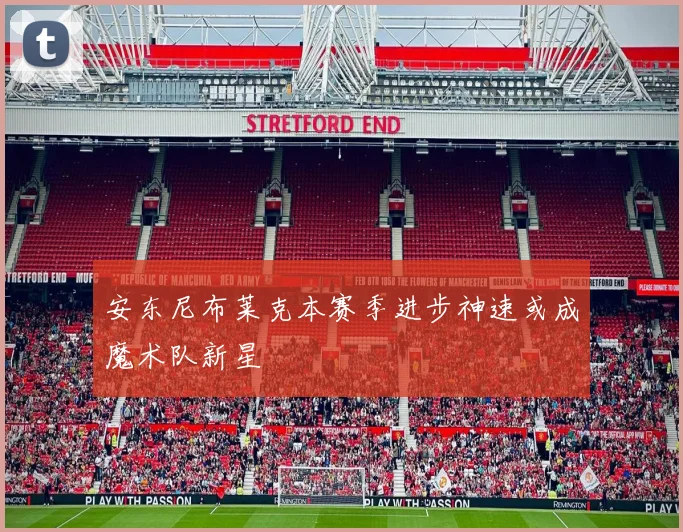 安东尼布莱克本赛季进步神速或成魔术队新星