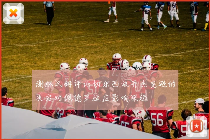 谢林汉姆评论切尔西放弃杰克逊的决定对佩德罗适应影响深远