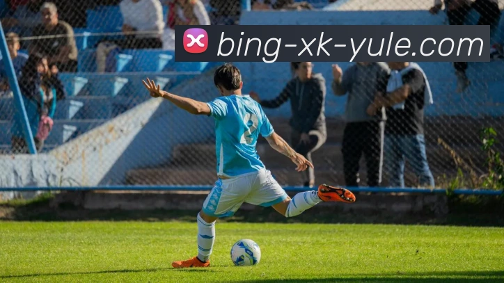 奖项证书